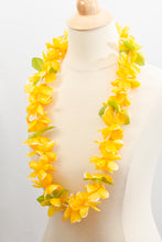 Load image into Gallery viewer, Luau Lei - 24 piece pack
