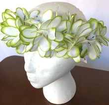 Load image into Gallery viewer, Plumeria Headband
