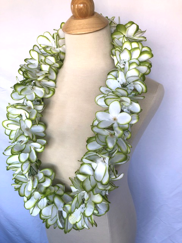 Plumeria Lei