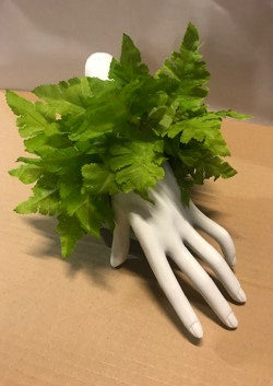 Fern Wristband